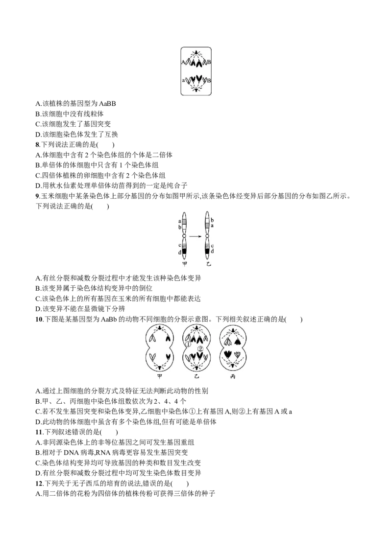 第5章基因突变及其他变异（原卷版）_高中九科知识点归纳。_人教版高中Word电子版试卷练习试题知识点全科_高中生物试卷习题_生物必修_必修2_人教版生物必修二单元测试（012份）