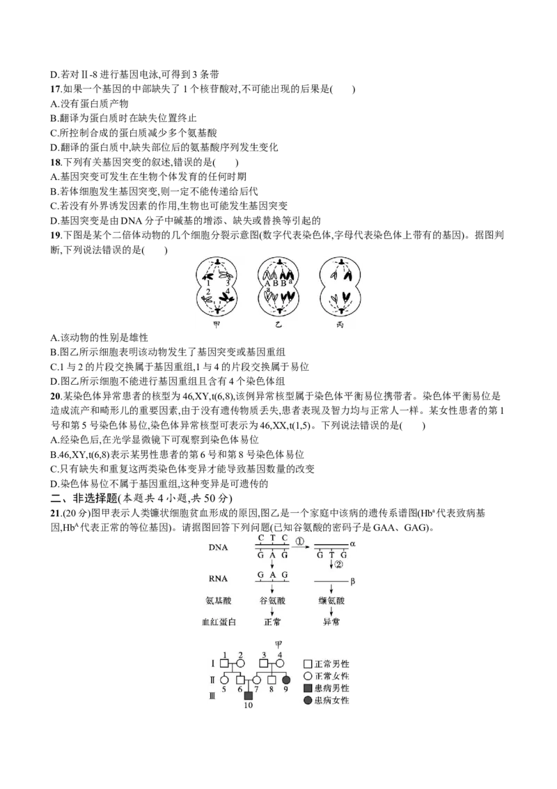第5章基因突变及其他变异（原卷版）_高中九科知识点归纳。_人教版高中Word电子版试卷练习试题知识点全科_高中生物试卷习题_生物必修_必修2_人教版生物必修二单元测试（012份）