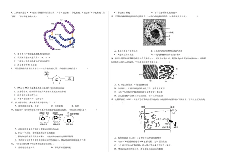 期末模拟卷01（考试版A3版）测试范围：人教版2019必修1_高中九科知识点归纳。_人教版高中Word电子版试卷练习试题知识点全科_高中生物试卷习题_生物必修_必修1