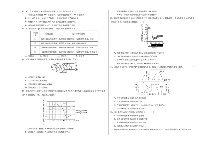 期末模拟卷01（考试版A3版）测试范围：人教版2019必修1_高中九科知识点归纳。_人教版高中Word电子版试卷练习试题知识点全科_高中生物试卷习题_生物必修_必修1