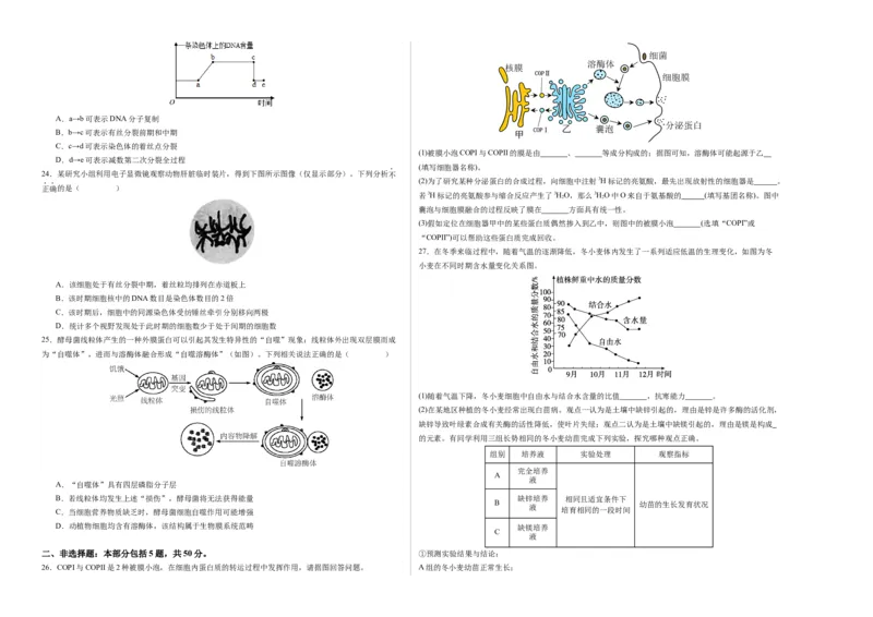 期末模拟卷01（考试版A3版）测试范围：人教版2019必修1_高中九科知识点归纳。_人教版高中Word电子版试卷练习试题知识点全科_高中生物试卷习题_生物必修_必修1