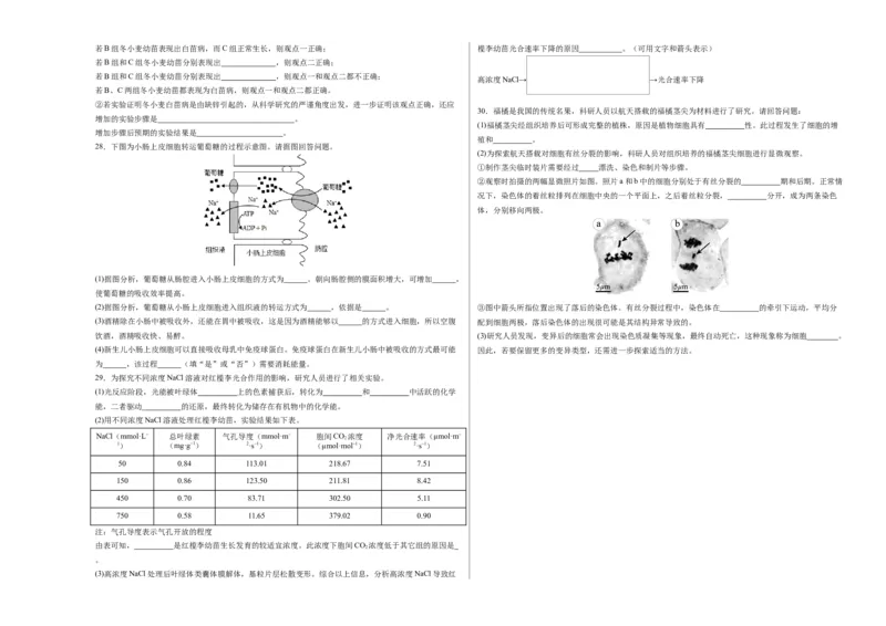 期末模拟卷01（考试版A3版）测试范围：人教版2019必修1_高中九科知识点归纳。_人教版高中Word电子版试卷练习试题知识点全科_高中生物试卷习题_生物必修_必修1