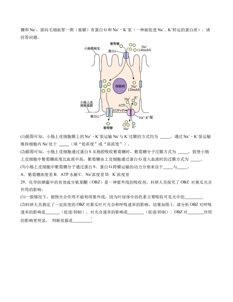 期末模拟卷02（考试版A4版）测试范围：人教版2019必修1_高中九科知识点归纳。_人教版高中Word电子版试卷练习试题知识点全科_高中生物试卷习题_生物必修_必修1