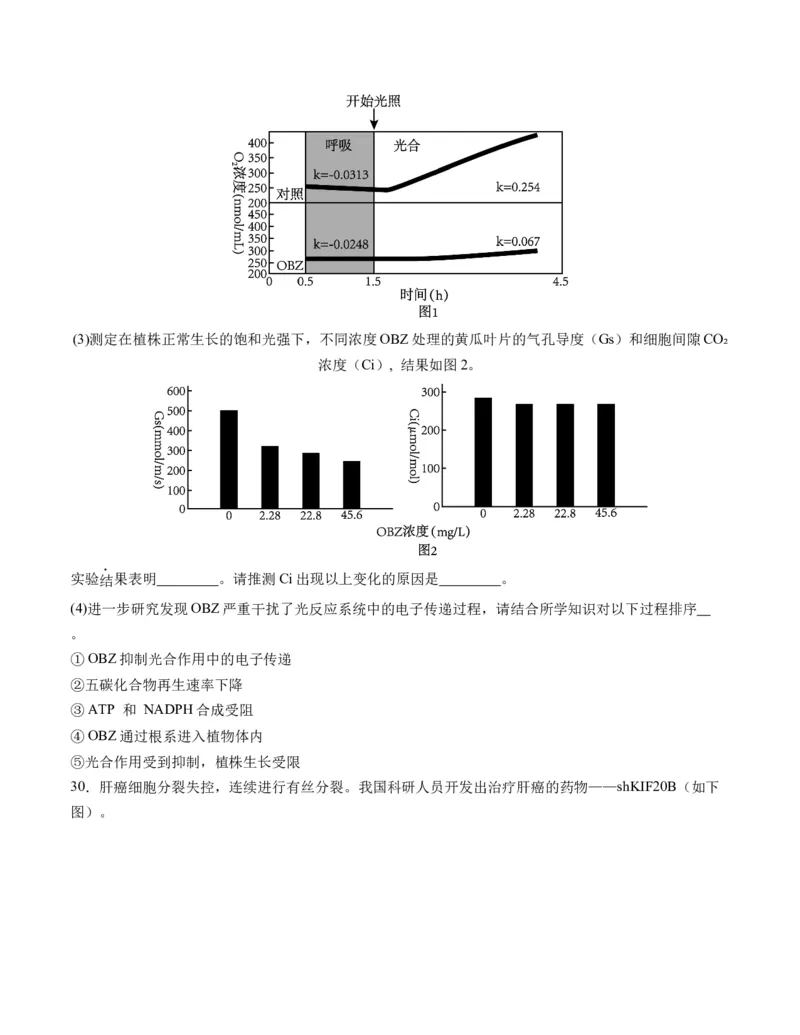期末模拟卷02（考试版A4版）测试范围：人教版2019必修1_高中九科知识点归纳。_人教版高中Word电子版试卷练习试题知识点全科_高中生物试卷习题_生物必修_必修1