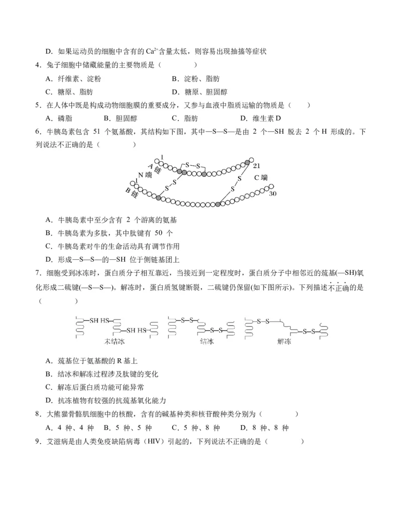 期末模拟卷02（考试版A4版）测试范围：人教版2019必修1_高中九科知识点归纳。_人教版高中Word电子版试卷练习试题知识点全科_高中生物试卷习题_生物必修_必修1