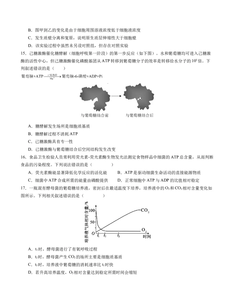 期末模拟卷02（考试版A4版）测试范围：人教版2019必修1_高中九科知识点归纳。_人教版高中Word电子版试卷练习试题知识点全科_高中生物试卷习题_生物必修_必修1