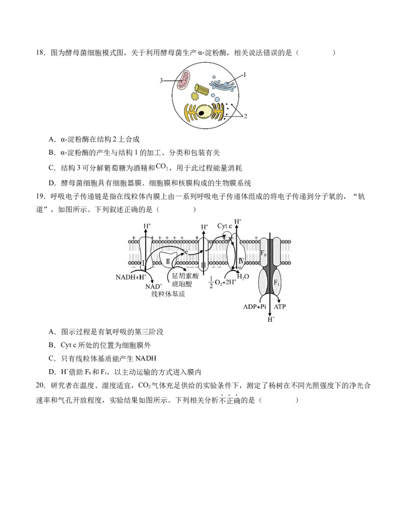 期末模拟卷02（考试版A4版）测试范围：人教版2019必修1_高中九科知识点归纳。_人教版高中Word电子版试卷练习试题知识点全科_高中生物试卷习题_生物必修_必修1