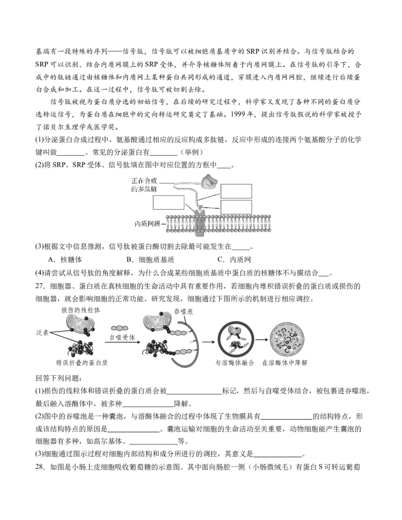 期末模拟卷02（考试版A4版）测试范围：人教版2019必修1_高中九科知识点归纳。_人教版高中Word电子版试卷练习试题知识点全科_高中生物试卷习题_生物必修_必修1