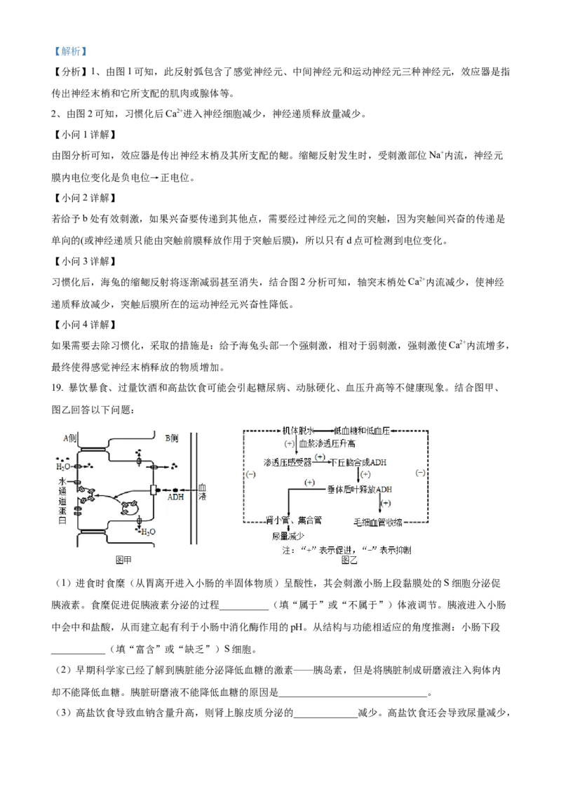 高二上学期期中生物试题（解析版）_高中九科知识点归纳。_人教版高中Word电子版试卷练习试题知识点全科_高中生物试卷习题_生物选修_选修1_人教版生物选修一期中测试（012份）_614