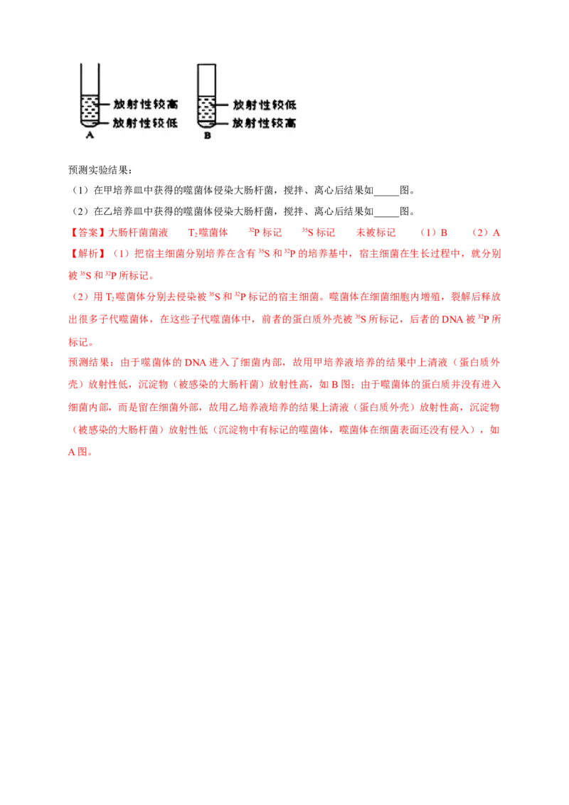 新教材精创3.1DNA是主要的遗传物质练习（2）（解析版）_高中九科知识点归纳。_人教版高中Word电子版试卷练习试题知识点全科_高中生物试卷习题_生物必修_必修2_1、同步练习