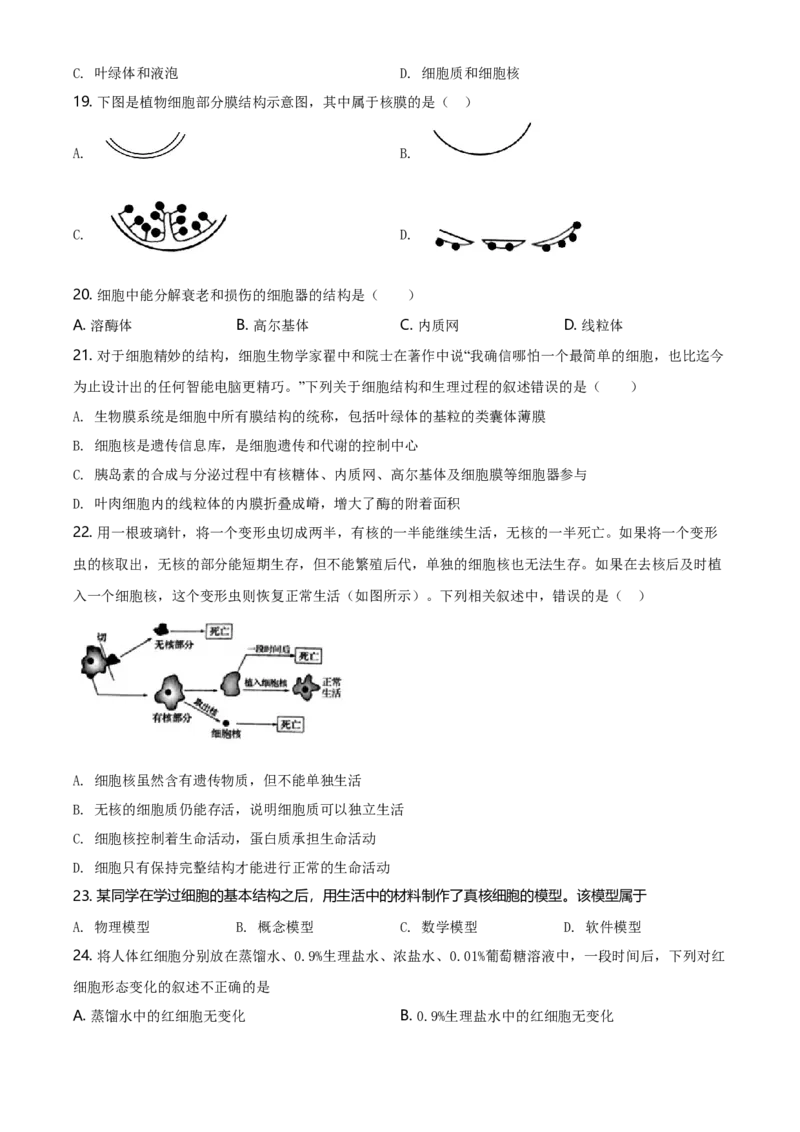 精品解析：黑龙江大庆市东风中学高一上学期期末教学质量检测生物试题（原卷版）_高中九科知识点归纳。_人教版高中Word电子版试卷练习试题知识点全科_高中生物试卷习题_生物必修