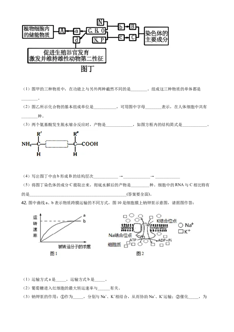 精品解析：黑龙江大庆市东风中学高一上学期期末教学质量检测生物试题（原卷版）_高中九科知识点归纳。_人教版高中Word电子版试卷练习试题知识点全科_高中生物试卷习题_生物必修