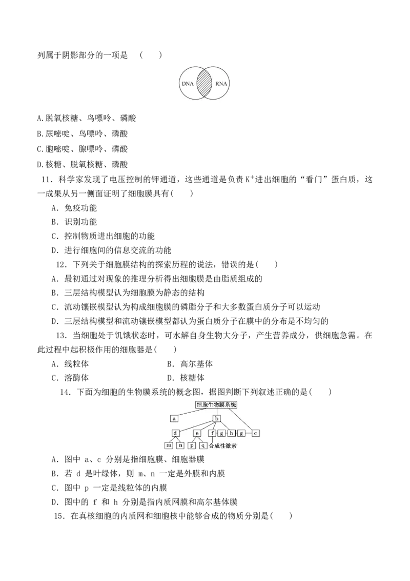 期中预测卷（二）-高一生物上学期课后培优分级练（2019人教版必修1）（原卷版）_高中九科知识点归纳。_人教版高中Word电子版试卷练习试题知识点全科_高中生物试卷习题_生物必修_必修1