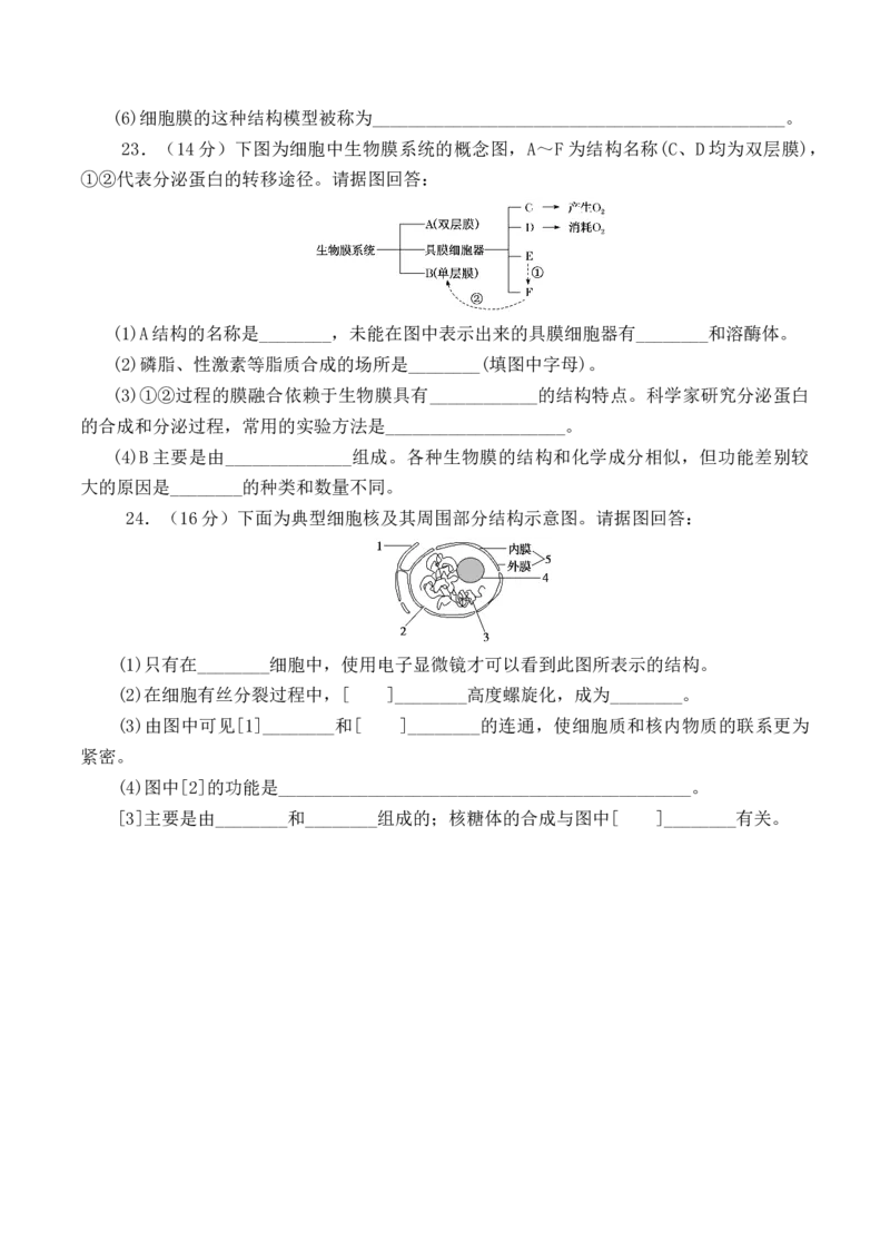 期中预测卷（二）-高一生物上学期课后培优分级练（2019人教版必修1）（原卷版）_高中九科知识点归纳。_人教版高中Word电子版试卷练习试题知识点全科_高中生物试卷习题_生物必修_必修1
