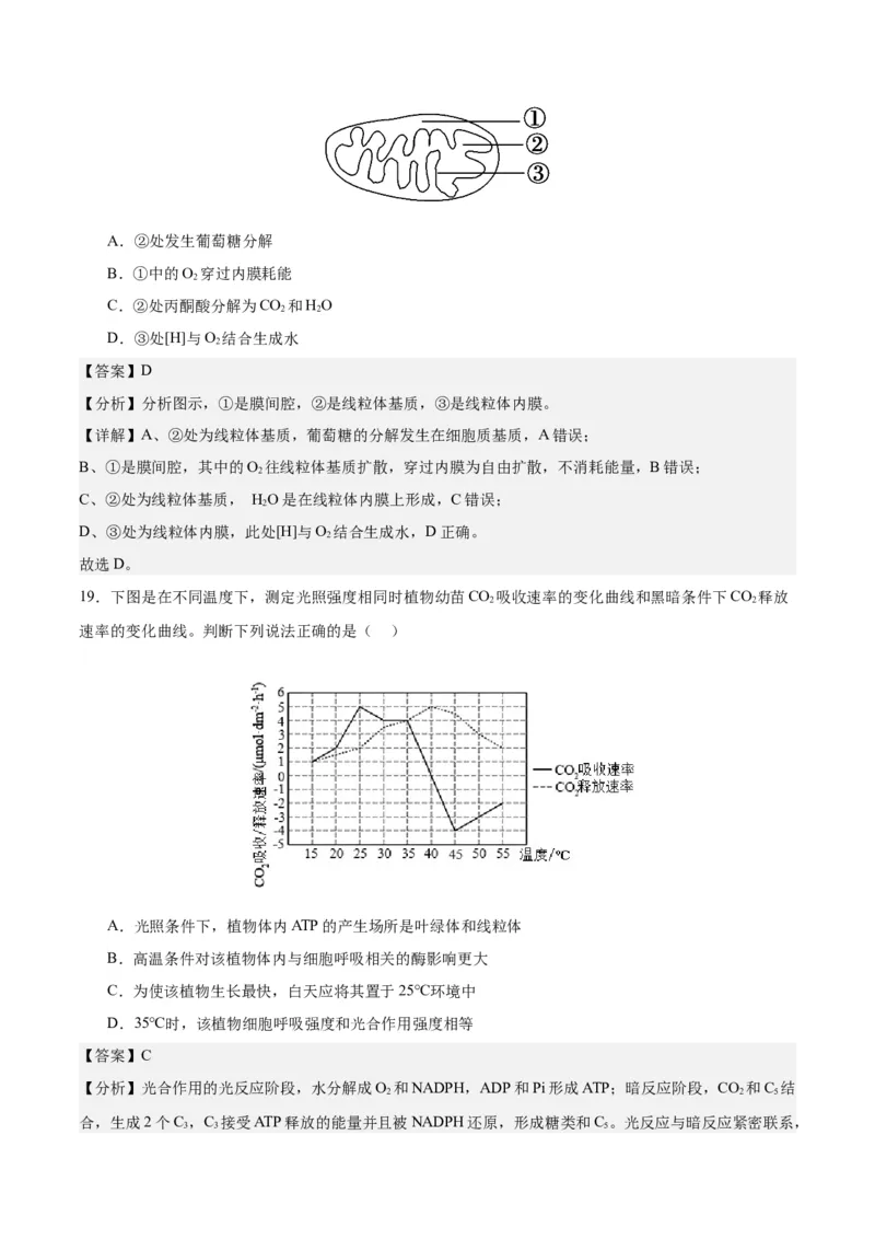 期末模拟卷01（全解全析）（人教版2019）_高中九科知识点归纳。_人教版高中Word电子版试卷练习试题知识点全科_高中生物试卷习题_生物必修_必修1_人教版生物必修一期末试卷（038份）