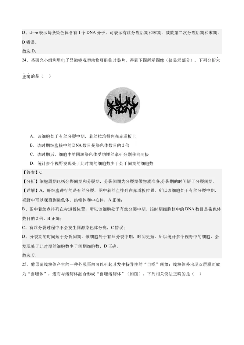 期末模拟卷01（全解全析）（人教版2019）_高中九科知识点归纳。_人教版高中Word电子版试卷练习试题知识点全科_高中生物试卷习题_生物必修_必修1_人教版生物必修一期末试卷（038份）