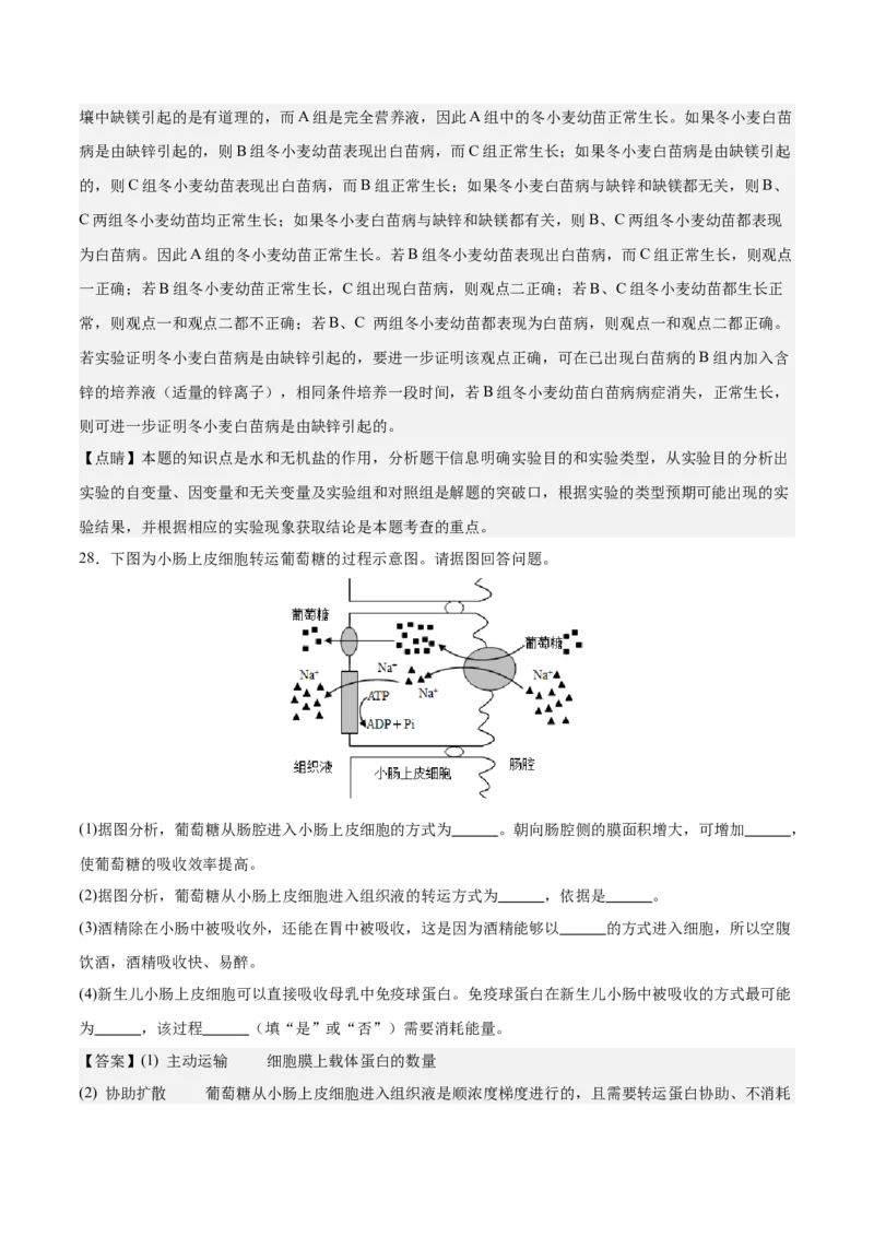 期末模拟卷01（全解全析）（人教版2019）_高中九科知识点归纳。_人教版高中Word电子版试卷练习试题知识点全科_高中生物试卷习题_生物必修_必修1_人教版生物必修一期末试卷（038份）