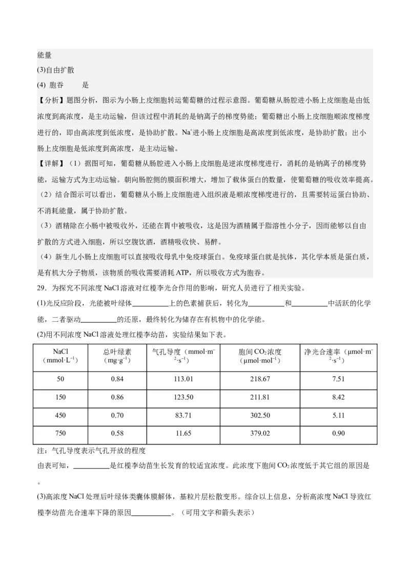 期末模拟卷01（全解全析）（人教版2019）_高中九科知识点归纳。_人教版高中Word电子版试卷练习试题知识点全科_高中生物试卷习题_生物必修_必修1_人教版生物必修一期末试卷（038份）