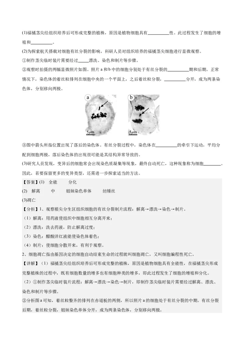 期末模拟卷01（全解全析）（人教版2019）_高中九科知识点归纳。_人教版高中Word电子版试卷练习试题知识点全科_高中生物试卷习题_生物必修_必修1_人教版生物必修一期末试卷（038份）