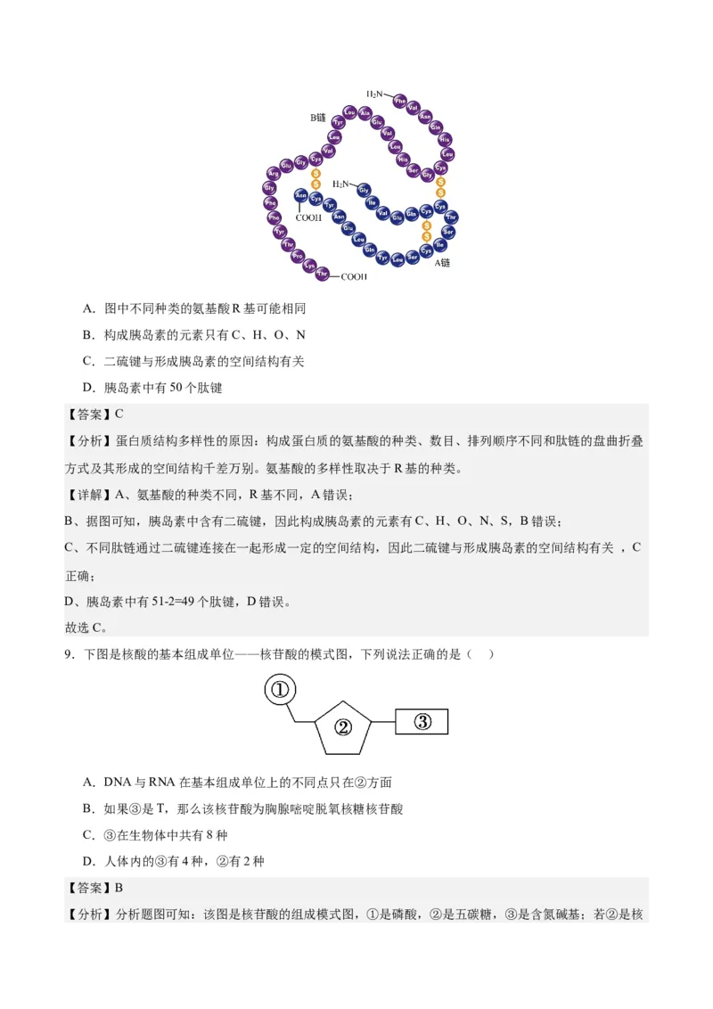 期末模拟卷01（全解全析）（人教版2019）_高中九科知识点归纳。_人教版高中Word电子版试卷练习试题知识点全科_高中生物试卷习题_生物必修_必修1_人教版生物必修一期末试卷（038份）