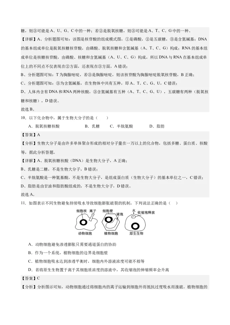 期末模拟卷01（全解全析）（人教版2019）_高中九科知识点归纳。_人教版高中Word电子版试卷练习试题知识点全科_高中生物试卷习题_生物必修_必修1_人教版生物必修一期末试卷（038份）