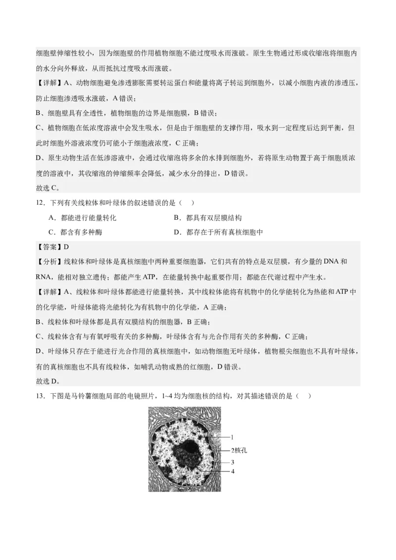 期末模拟卷01（全解全析）（人教版2019）_高中九科知识点归纳。_人教版高中Word电子版试卷练习试题知识点全科_高中生物试卷习题_生物必修_必修1_人教版生物必修一期末试卷（038份）