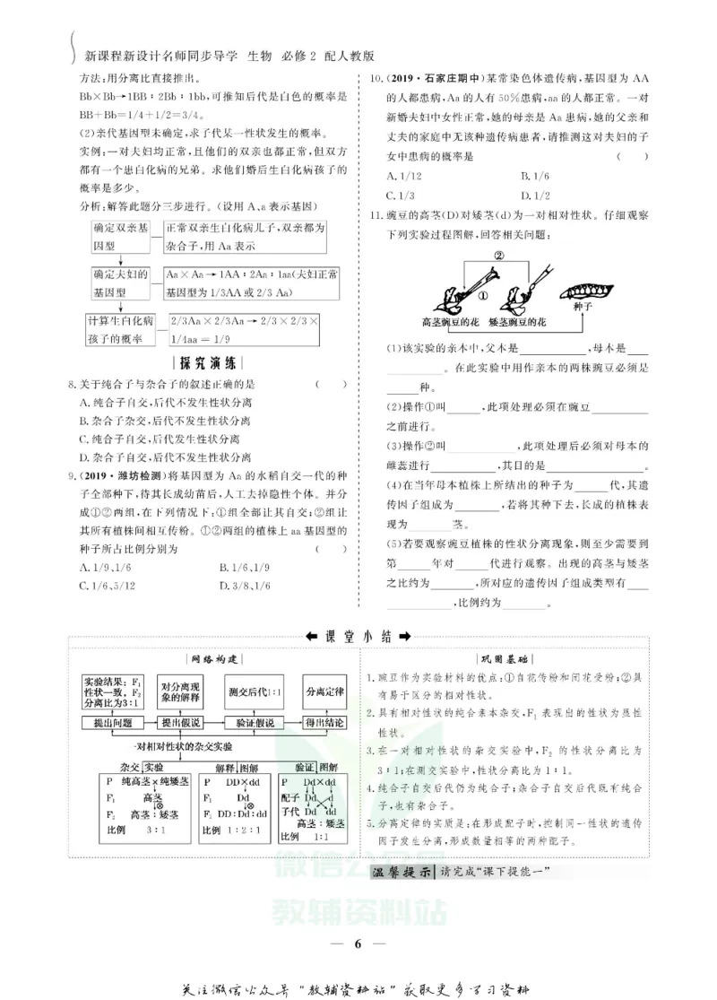 名师同步导学生物人教版必修2_名师同步导学_高中生物