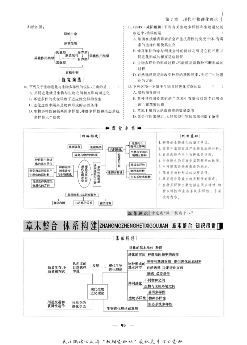 名师同步导学生物人教版必修2_名师同步导学_高中生物