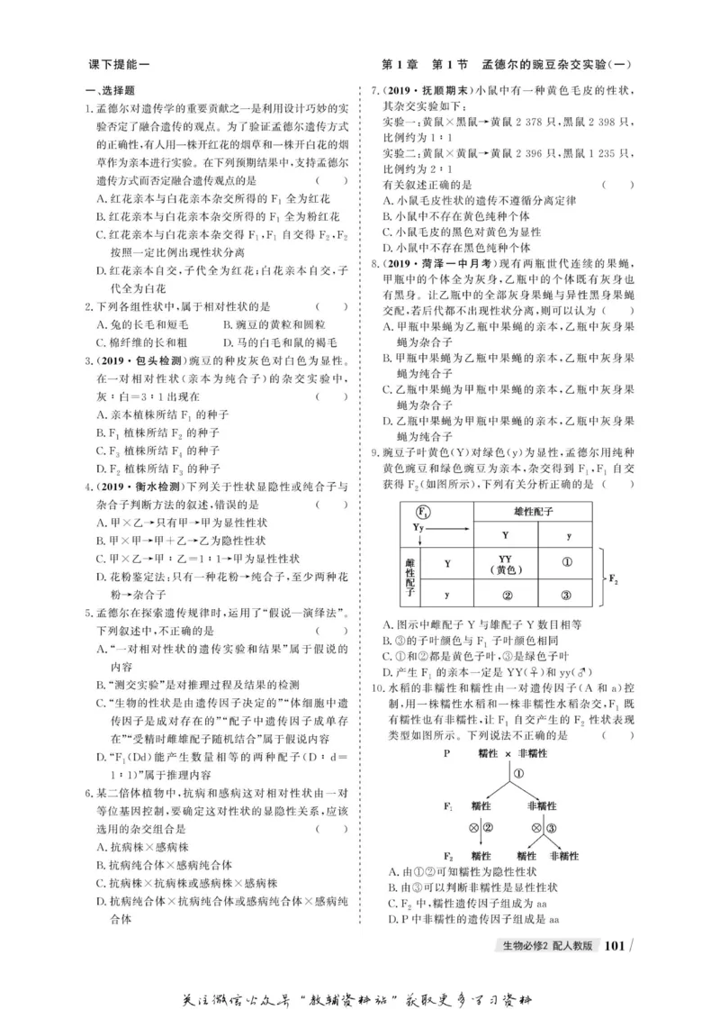 名师同步导学生物人教版必修2_名师同步导学_高中生物