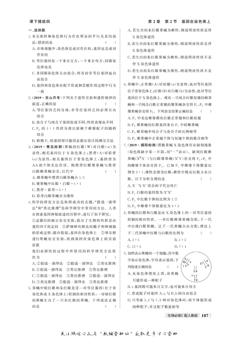 名师同步导学生物人教版必修2_名师同步导学_高中生物