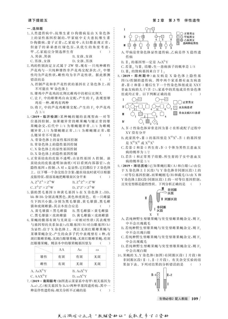 名师同步导学生物人教版必修2_名师同步导学_高中生物