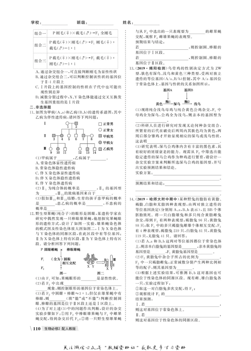 名师同步导学生物人教版必修2_名师同步导学_高中生物
