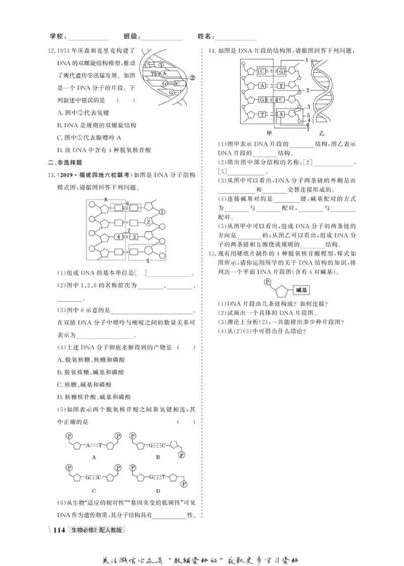 名师同步导学生物人教版必修2_名师同步导学_高中生物