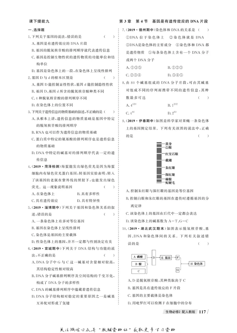 名师同步导学生物人教版必修2_名师同步导学_高中生物