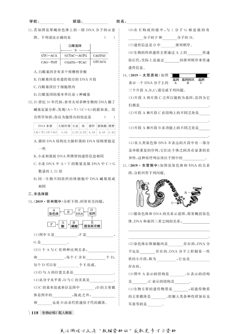 名师同步导学生物人教版必修2_名师同步导学_高中生物