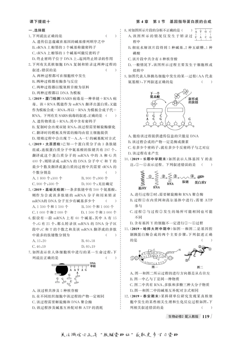 名师同步导学生物人教版必修2_名师同步导学_高中生物