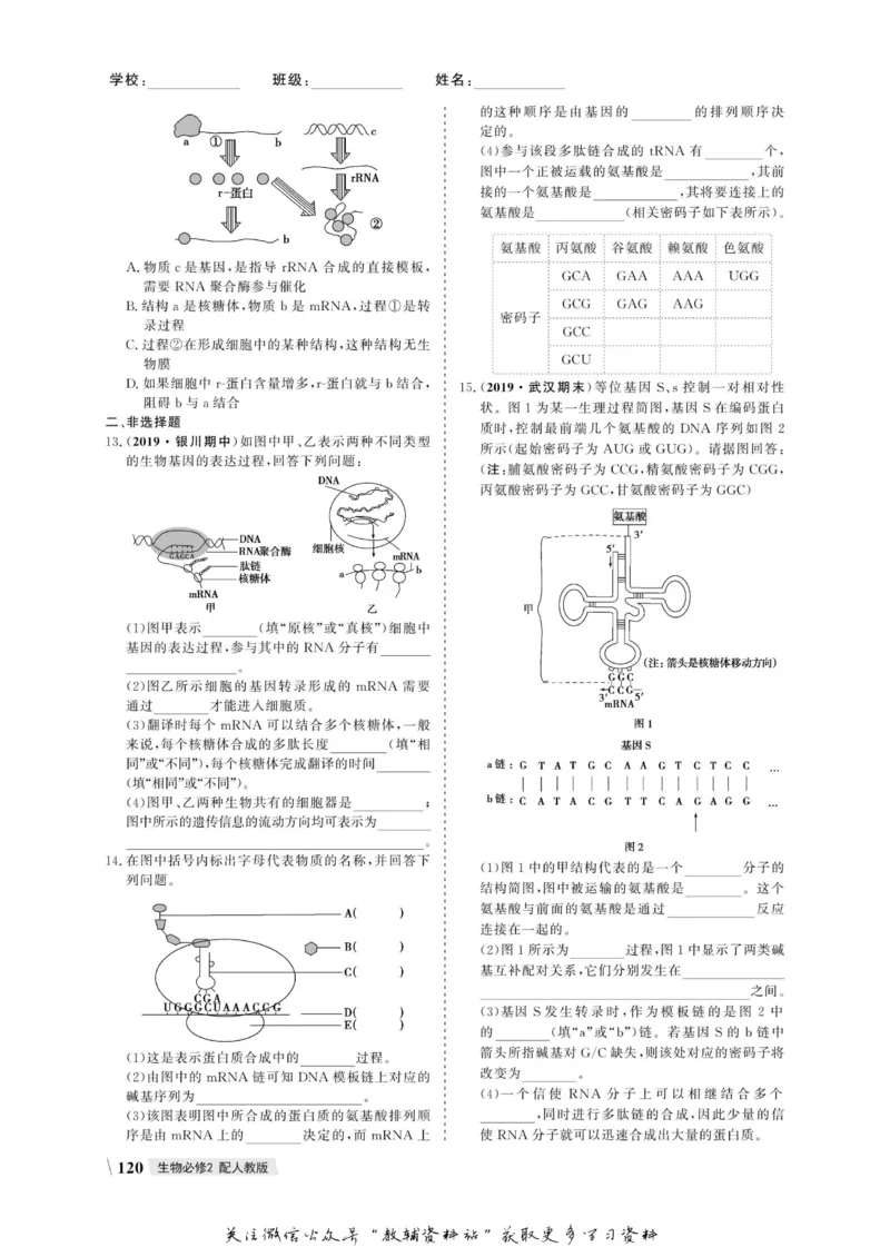 名师同步导学生物人教版必修2_名师同步导学_高中生物