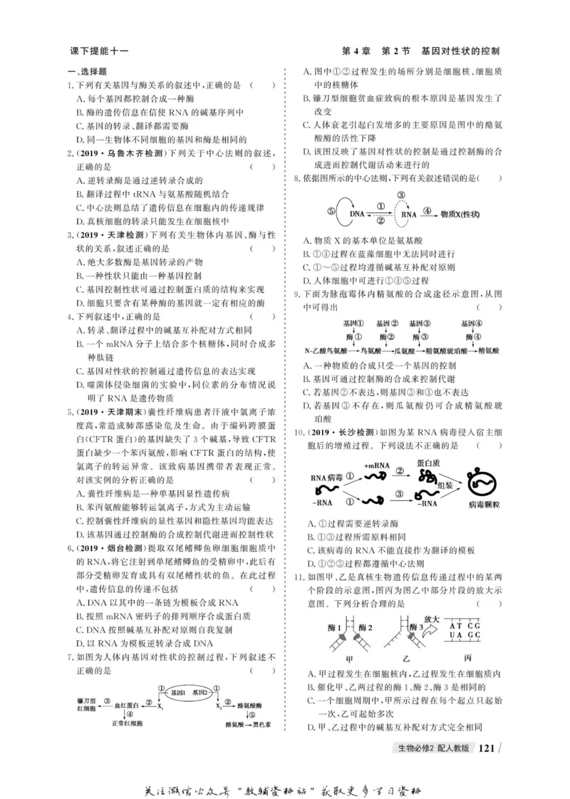 名师同步导学生物人教版必修2_名师同步导学_高中生物