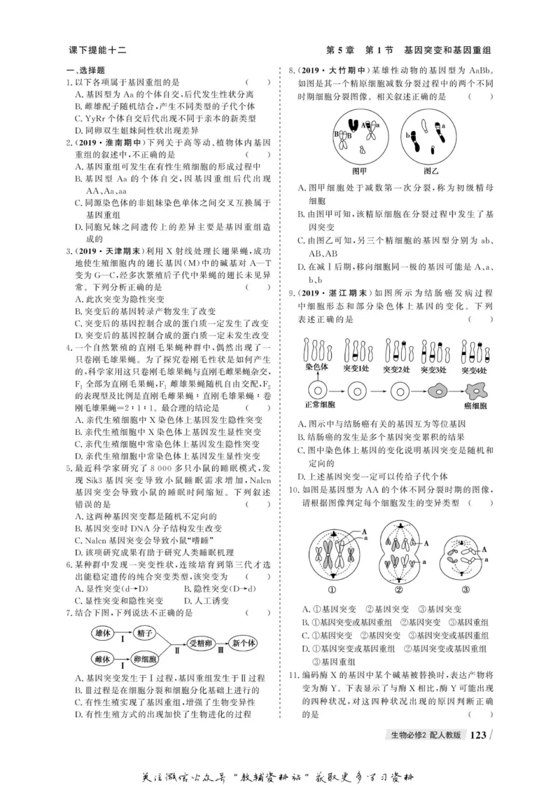 名师同步导学生物人教版必修2_名师同步导学_高中生物