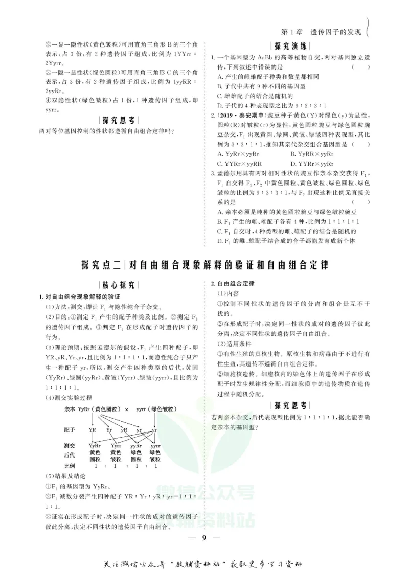 名师同步导学生物人教版必修2_名师同步导学_高中生物