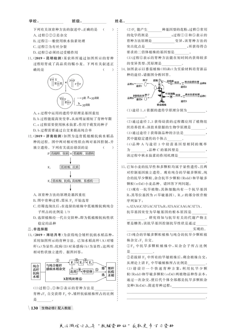 名师同步导学生物人教版必修2_名师同步导学_高中生物