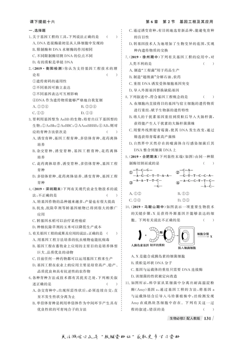 名师同步导学生物人教版必修2_名师同步导学_高中生物
