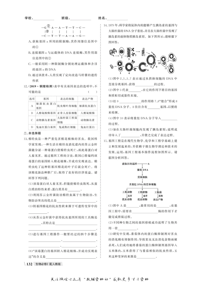 名师同步导学生物人教版必修2_名师同步导学_高中生物