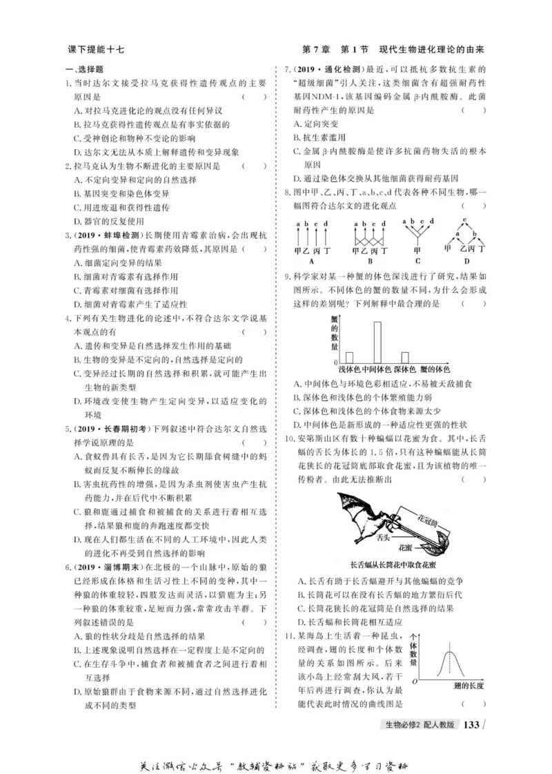 名师同步导学生物人教版必修2_名师同步导学_高中生物
