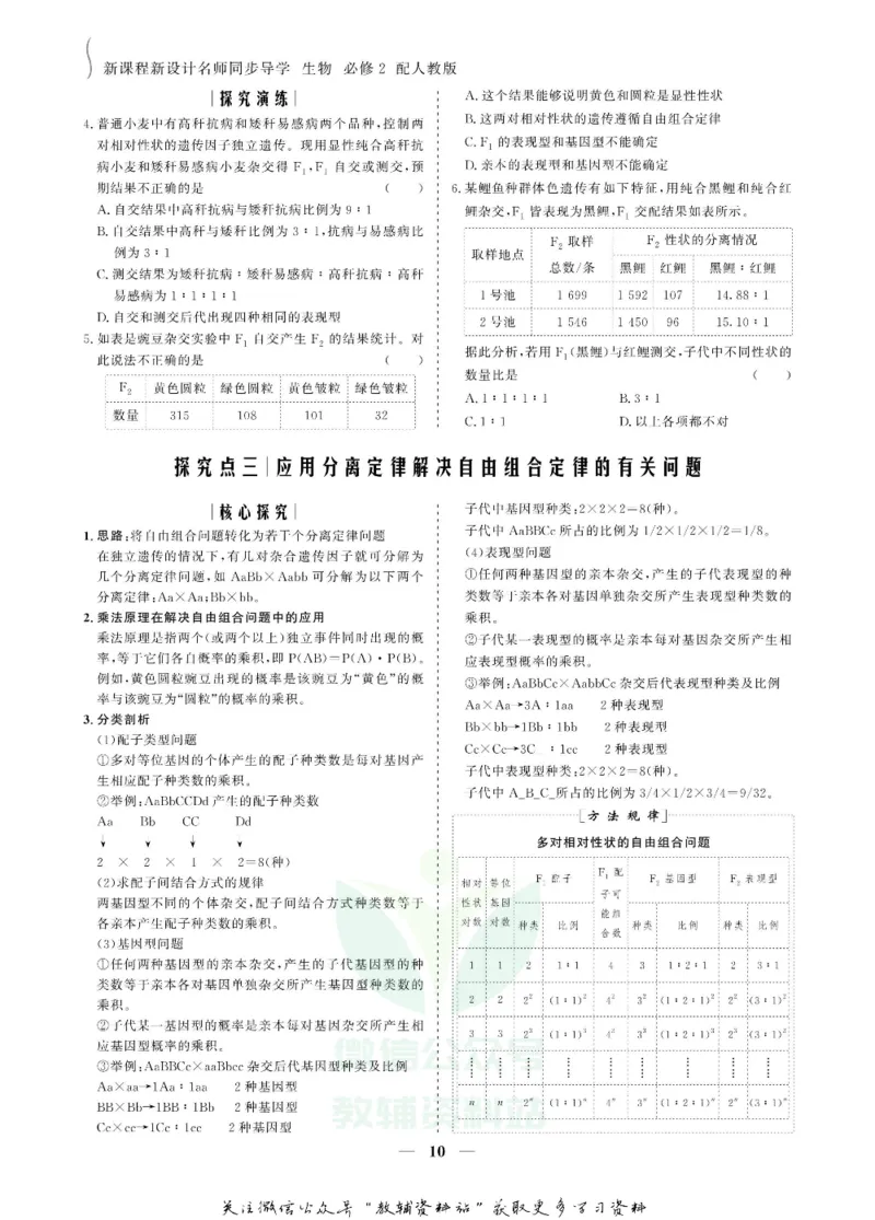 名师同步导学生物人教版必修2_名师同步导学_高中生物