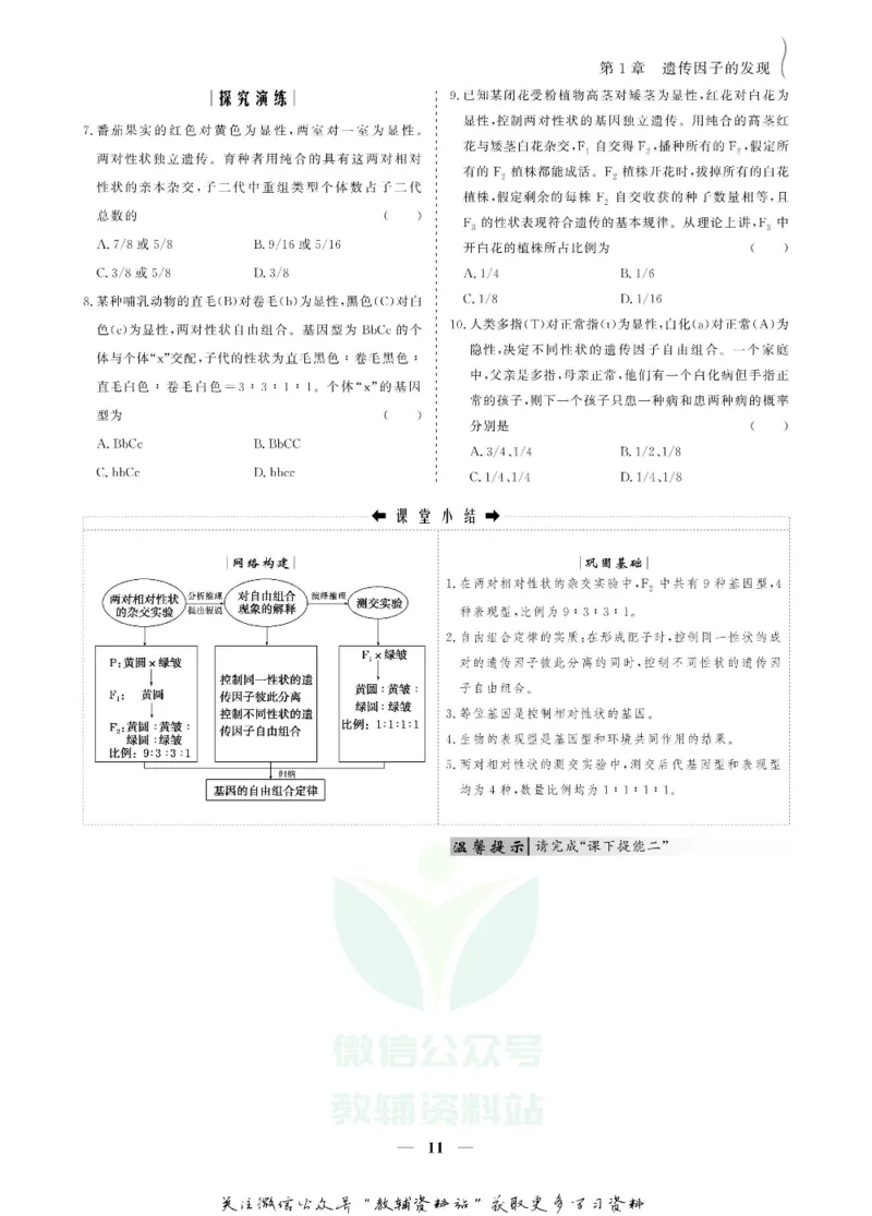 名师同步导学生物人教版必修2_名师同步导学_高中生物