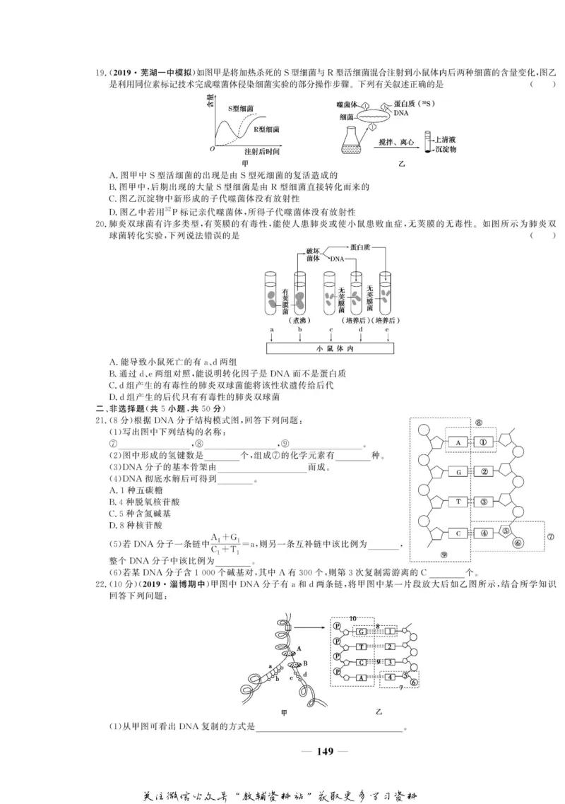 名师同步导学生物人教版必修2_名师同步导学_高中生物