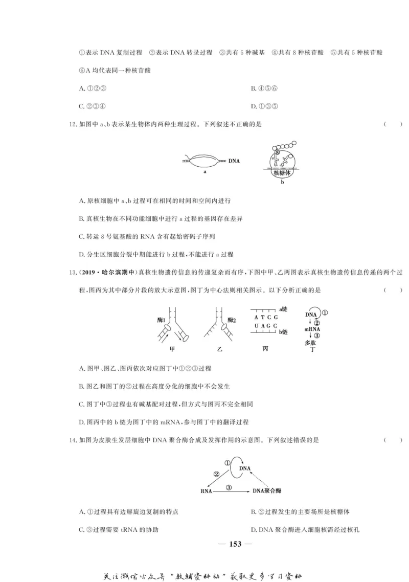 名师同步导学生物人教版必修2_名师同步导学_高中生物