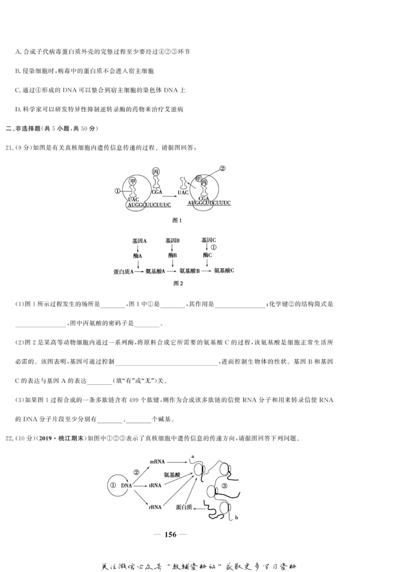 名师同步导学生物人教版必修2_名师同步导学_高中生物