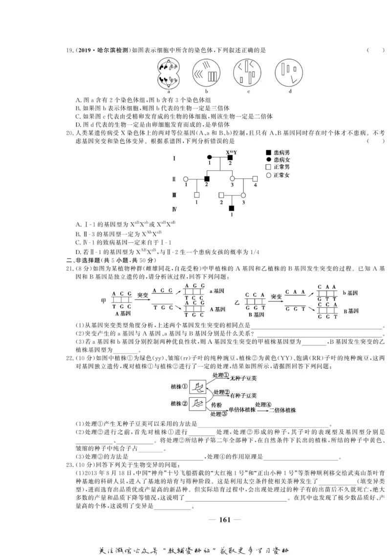 名师同步导学生物人教版必修2_名师同步导学_高中生物